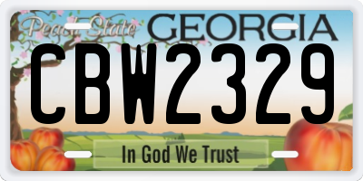 GA license plate CBW2329