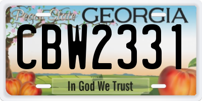 GA license plate CBW2331