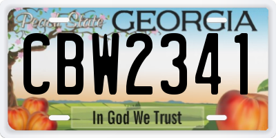 GA license plate CBW2341