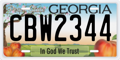 GA license plate CBW2344