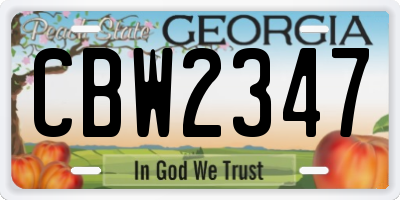 GA license plate CBW2347