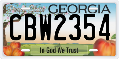 GA license plate CBW2354