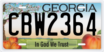 GA license plate CBW2364