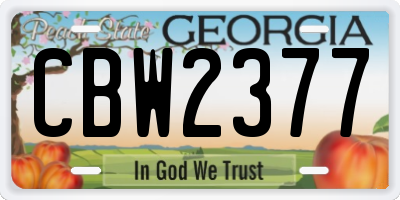 GA license plate CBW2377
