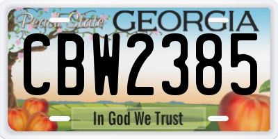GA license plate CBW2385
