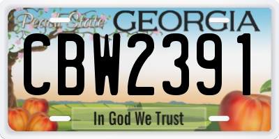 GA license plate CBW2391