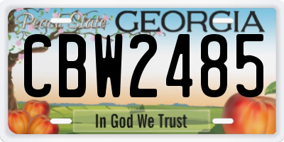 GA license plate CBW2485