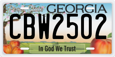 GA license plate CBW2502