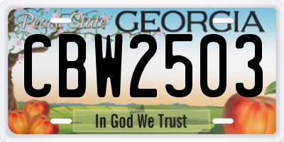 GA license plate CBW2503