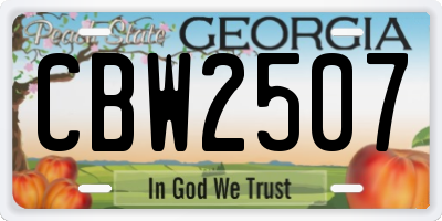 GA license plate CBW2507