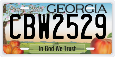 GA license plate CBW2529