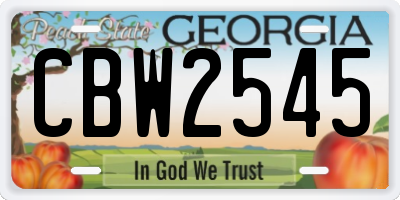 GA license plate CBW2545