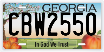 GA license plate CBW2550