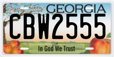 GA license plate CBW2555