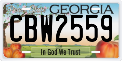 GA license plate CBW2559