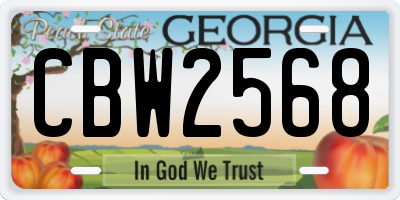 GA license plate CBW2568
