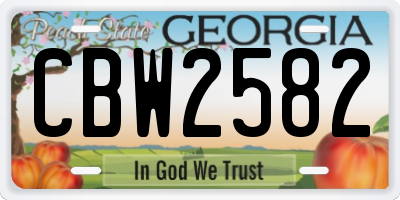 GA license plate CBW2582