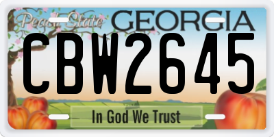 GA license plate CBW2645