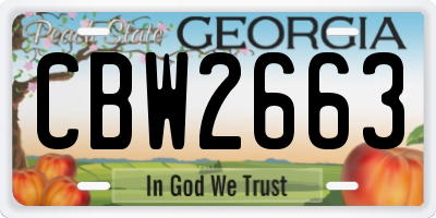 GA license plate CBW2663