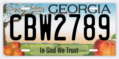 GA license plate CBW2789
