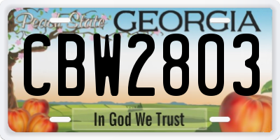 GA license plate CBW2803