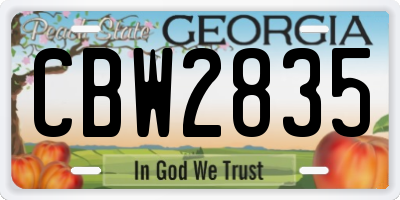 GA license plate CBW2835