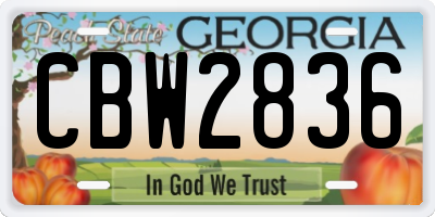 GA license plate CBW2836