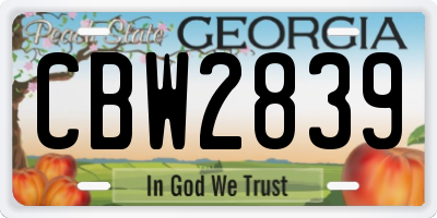 GA license plate CBW2839
