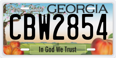 GA license plate CBW2854