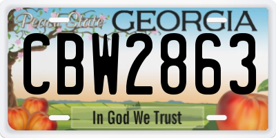 GA license plate CBW2863