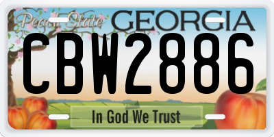 GA license plate CBW2886