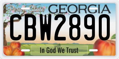 GA license plate CBW2890