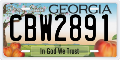 GA license plate CBW2891