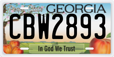 GA license plate CBW2893