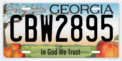 GA license plate CBW2895