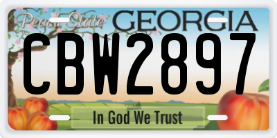 GA license plate CBW2897