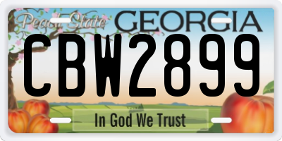 GA license plate CBW2899