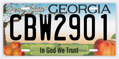 GA license plate CBW2901