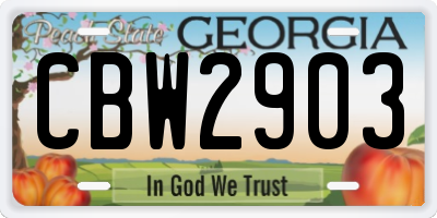 GA license plate CBW2903