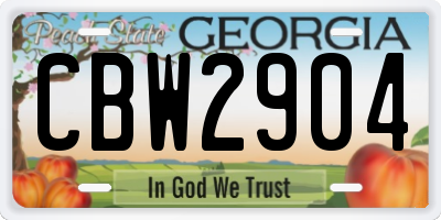 GA license plate CBW2904