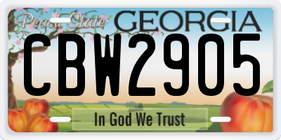 GA license plate CBW2905