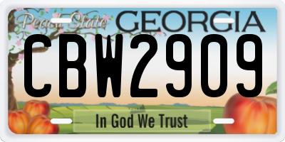 GA license plate CBW2909