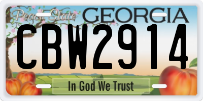 GA license plate CBW2914