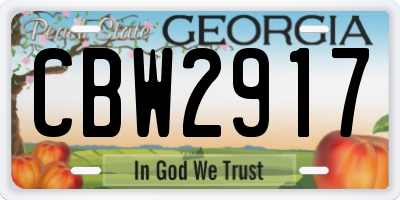 GA license plate CBW2917