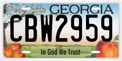 GA license plate CBW2959
