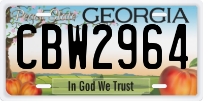 GA license plate CBW2964