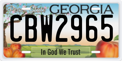 GA license plate CBW2965
