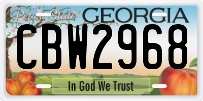 GA license plate CBW2968