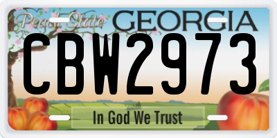 GA license plate CBW2973