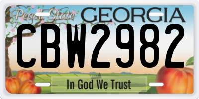 GA license plate CBW2982
